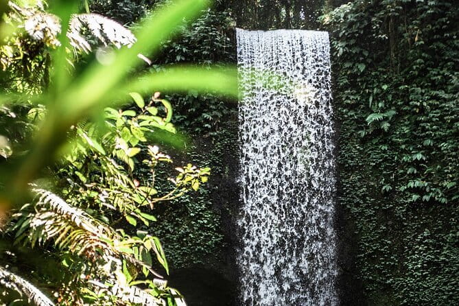 Full Day Private Tour All Inclusive Hidden Gems Bali Waterfall - The driver-guide can shape the whole day