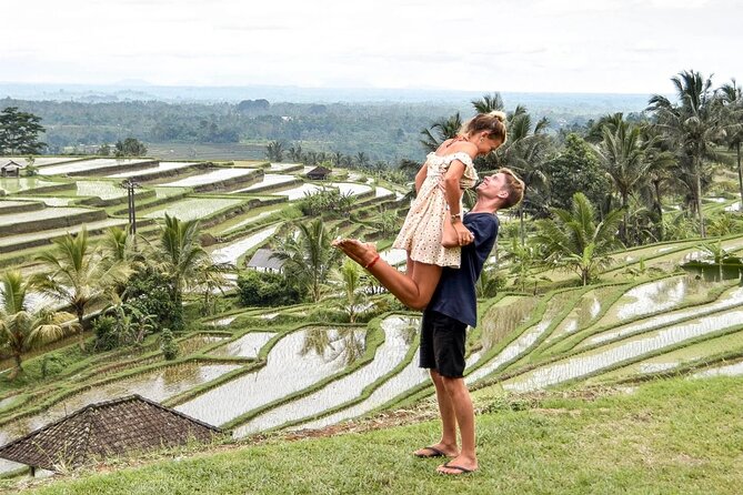 Full Day Private Tour in Bali - Banyumala Twin Waterfalls and the cold-water choice