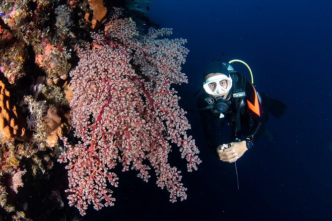 Full-Day Scuba Diving Experience of USAT Liberty in Tulamben - Why the USAT Liberty makes this outing special