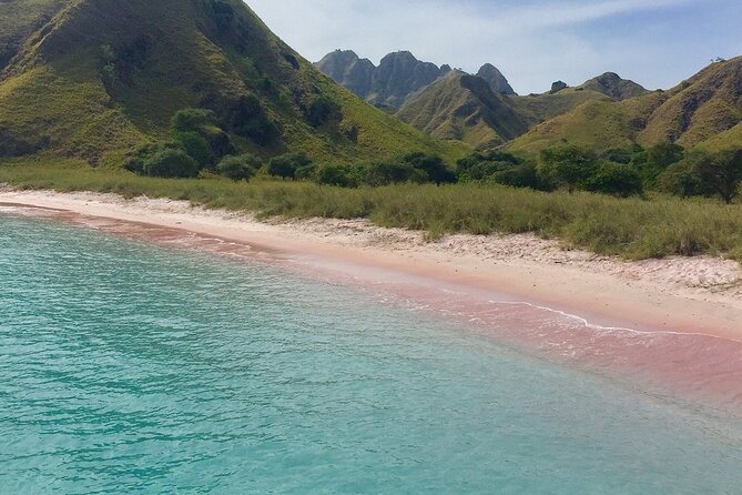 Full Day Tour to Komodo Island By Speed Boat to explore 6 destinations - Komodo Island is the reason many people book