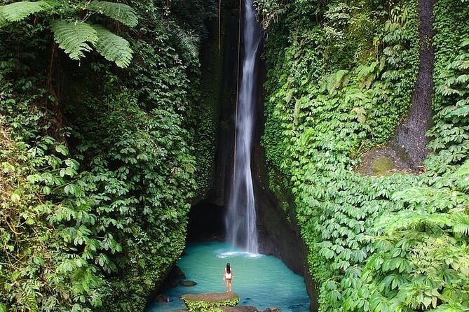 Full-Day Tour to Water Temples and UNESCO Rice Terraces in Bali - Why this private Bali day trip works