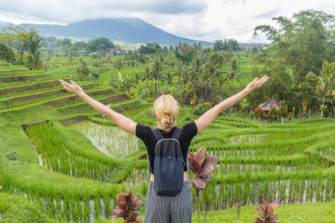 Full-Day Tour to Water Temples and UNESCO Rice Terraces in Bali - Transport, timing, and the real cost
