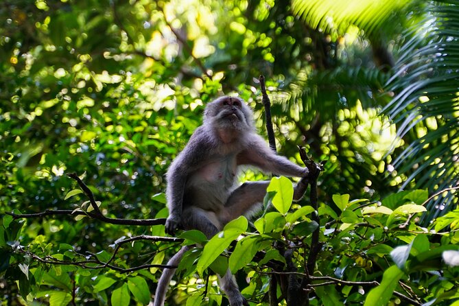 Full Day – Ubud Art Village and Mount Batur Kintamani with Lunch - Batuan Temple and the village art tradition