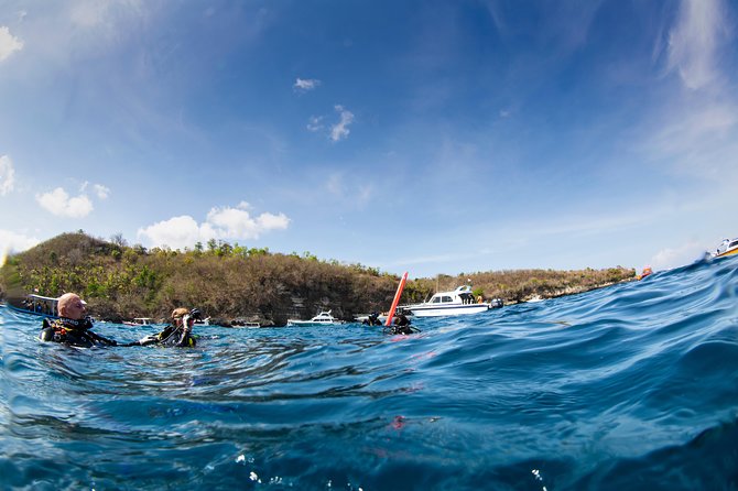 Fun Dive Nusa Penida Bali - For Certified Divers - Manta Point: the biggest wildlife possibility