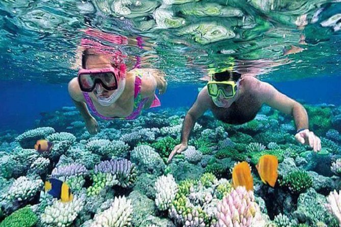 Gate Heaven Tirta Gangga With Snorkeling Private Guided Tour - What the snorkeling may be like