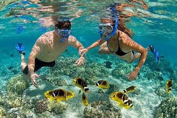 Gates of Heaven Temple and Blue Lagoon Snorkeling with All-inclusive - The drive from Nusa Dua to East Bali