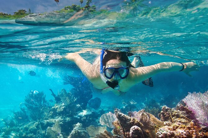 Gili Air : Private Snorkeling with 4 spots - The Underwater Sculpture and Growing Coral