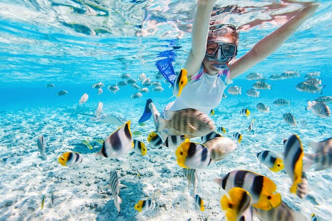 Gili Air : Private Snorkeling with 4 spots - What the Private Format Really Adds