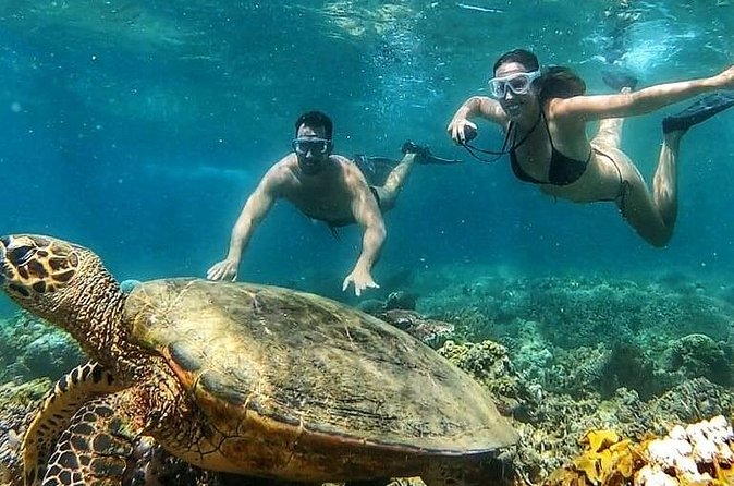 Gili Air : Private Snorkeling with 4 spots - Equipment, Crew, and Underwater Photos
