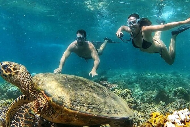 Gili Air : Private Snorkeling with 4 spots - Meeting at Gili Air Harbour