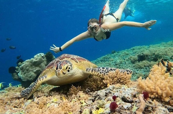 Gili Air: Snorkeling 3 Gili Islands with GoPro Camera - What the glass-bottom boat adds