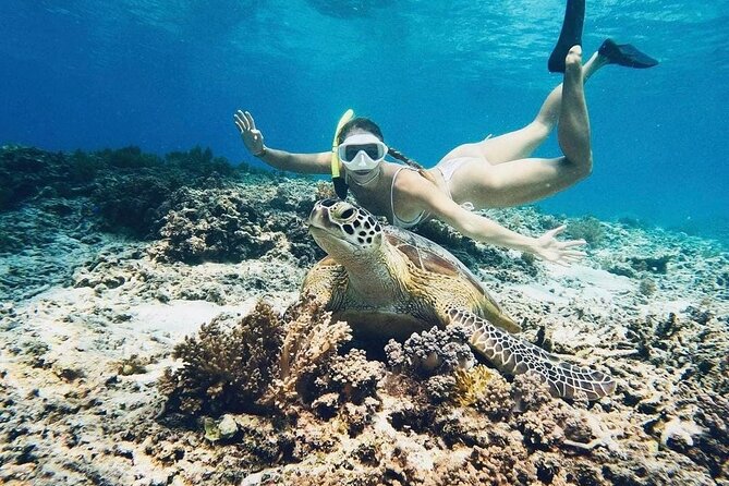 Gili Air: Snorkeling 3 Gili Islands with GoPro Camera - Turtle Point comes first