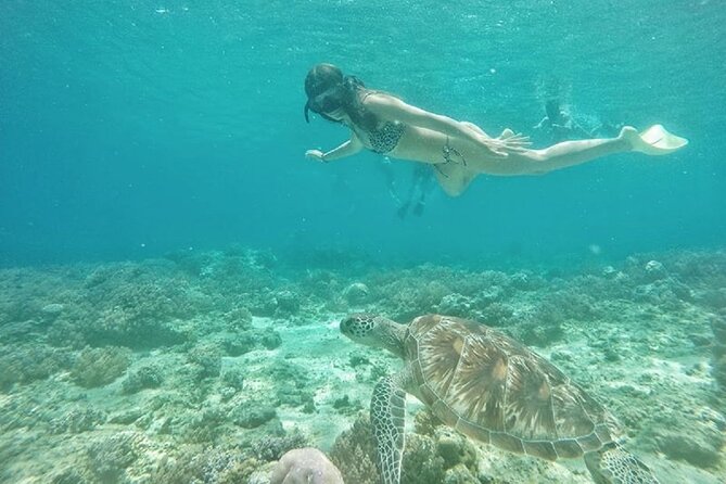Gili island Snorkeling Half Day Trip departure from Gili Trawangan - Gili Air brings coral and smaller reef fish