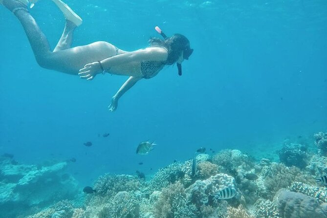 Gili island Snorkeling Half Day Trip departure from Gili Trawangan - The boat ride is part of the experience