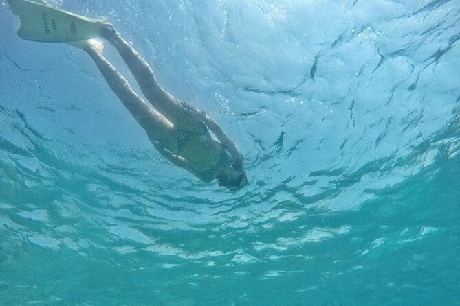 Gili island Snorkeling Half Day Trip departure from Gili Trawangan - Shared or private: choose the right format