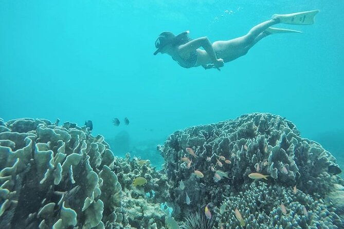 Gili island Snorkeling Half Day Trip departure from Gili Trawangan - Timing, meeting point, and what to bring