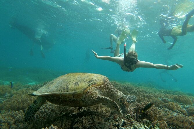 Gili island Snorkeling Half Day Trip departure from Gili Trawangan - How the $18 price holds up