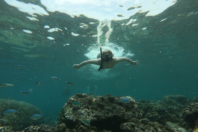 Gili island Snorkeling Half Day Trip departure from Gili Trawangan - Who should book this Gili Islands snorkeling trip?