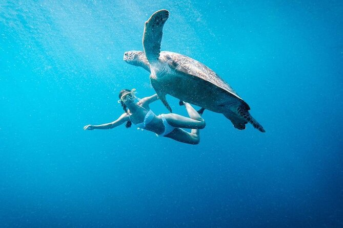 Gili Island Snorkeling Trip - Gili Trawangan, Gili Meno, & Gili Air, From Lombok - Quick take: what makes this Gili trip worthwhile