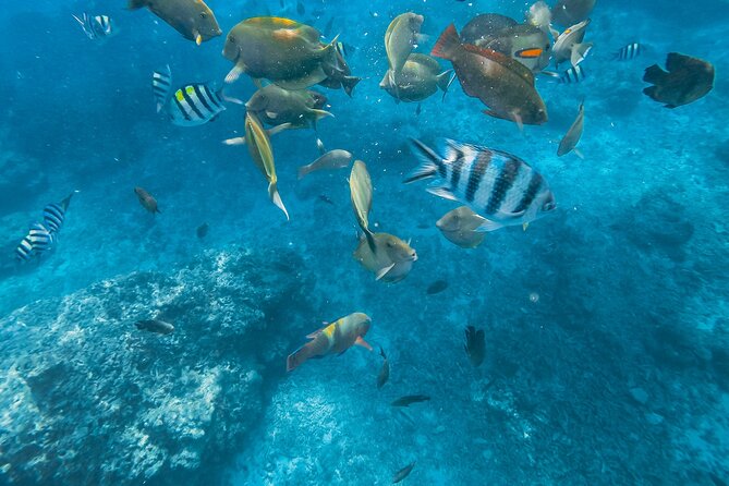 Gili Nanggu,Gili Kedis & Gili Sudak Hopping island & Snorkeling Tour - What the private format really adds