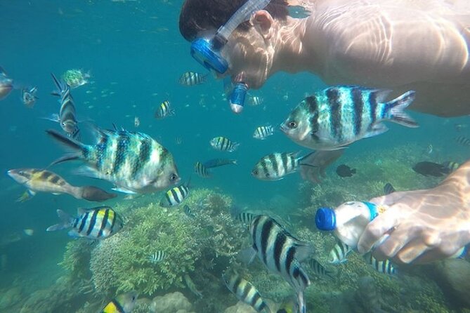 Gili Nanggu,Gili Kedis & Gili Sudak Hopping island & Snorkeling Tour - Who should book this Lombok island tour?