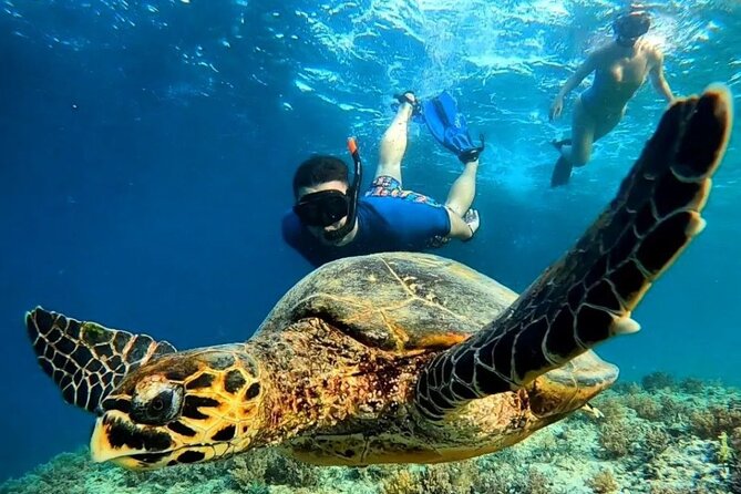 Gili Trawangan & Gili Air Snorkeling Tour Turtles & Statue - Key points to know before booking
