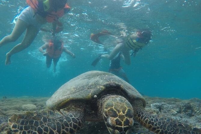 Gili Trawangan & Gili Air Snorkeling Tour Turtles & Statue - Gili Air lunch stop and island time