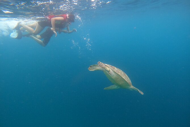 Gili Trawangan & Gili Air Snorkeling Tour Turtles & Statue - Water conditions, comfort, and safety