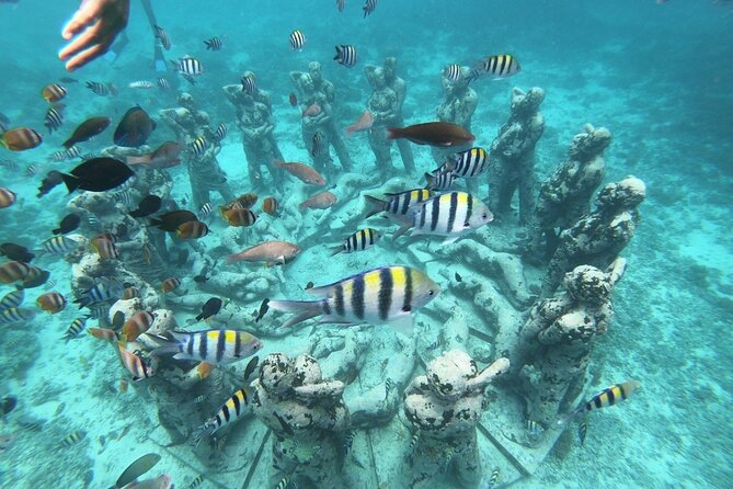Gili Trawangan,Gili Meno& Gili Air Island:Snorkeling Day Trip Depart from Lombok - Key points to know before booking