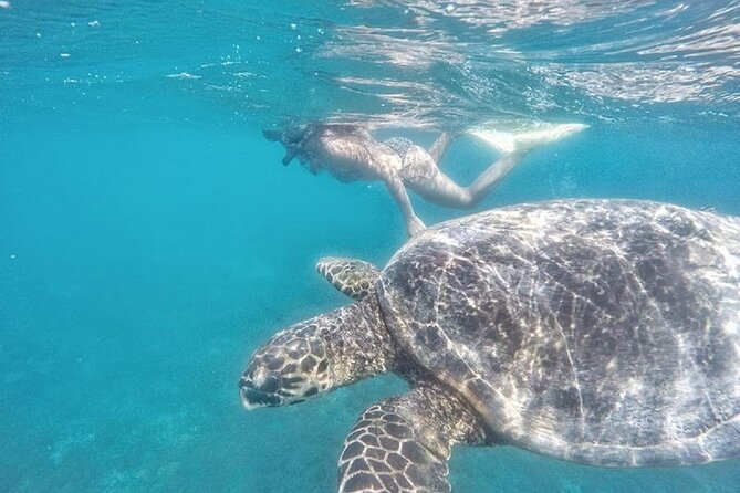 Gili Trawangan,Gili Meno& Gili Air Island:Snorkeling Day Trip Depart from Lombok - Who should book this day trip