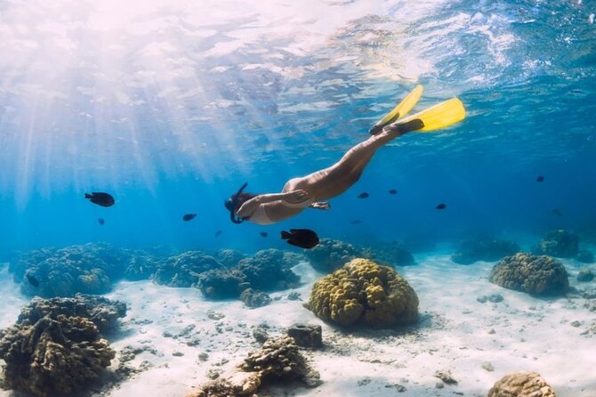 Gili Trawangan : Private Snorkeling with 3 spots or 4 spots - Choosing between three spots and four