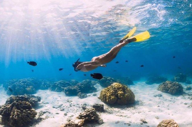Gili Trawangan : Private Snorkeling with 3 spots or 4 spots - Underwater statues with a real purpose