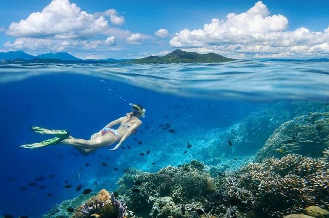 Gili Trawangan : Private Snorkeling with 3 spots or 4 spots - The one-hour stop on Gili Air or Gili Meno