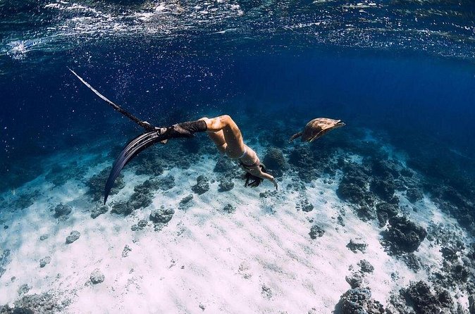 Gili Trawangan : Private Snorkeling with 3 spots or 4 spots - Photos, video, and the value of the crew