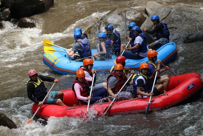 Green Bali Rafting Ticket And Transfer - Is $23.07 a good Bali activity value?