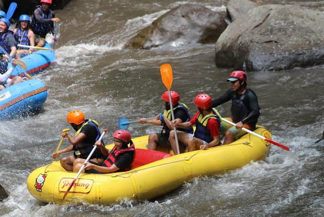 Green Bali Rafting Ticket And Transfer - Who will enjoy this rafting trip most