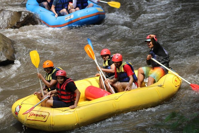 Green Bali Rafting Ticket And Transfer - What the rating tells you, and what it does not