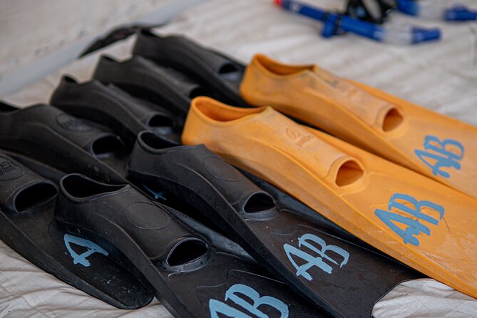 Group Snorkeling Tour Gili Islands Including GoPro Documentation - The GoPro is useful, but manage your expectations