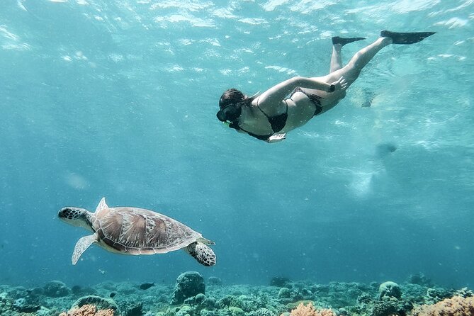 Group Snorkeling Tour Gili Islands Including GoPro Documentation - Safety and comfort deserve attention