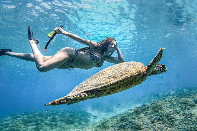 Group Snorkeling Tour Gili Islands Including GoPro Documentation - What to bring and how to prepare