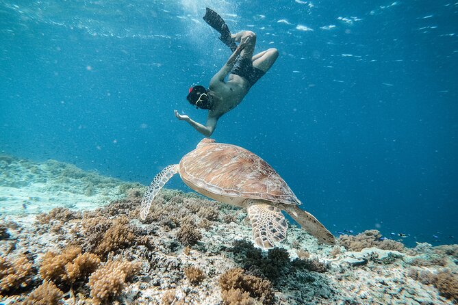 Group Snorkeling Tour Gili Islands Including GoPro Documentation - A glass-bottom boat to Gili Air and Gili Meno