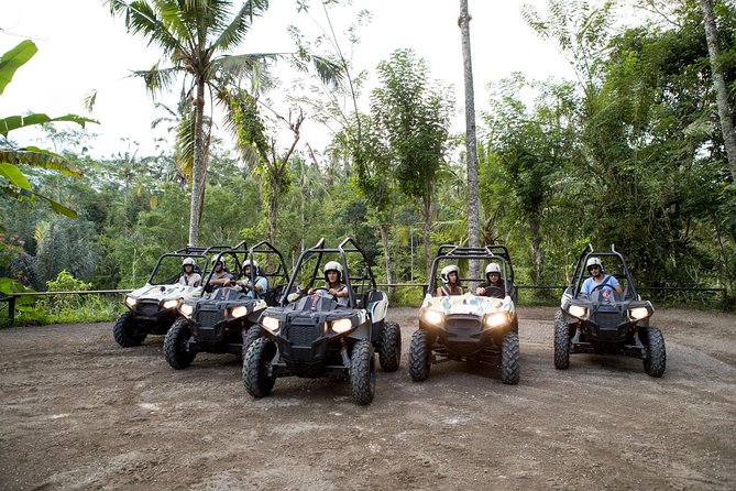 Half Day Jungle Buggies in Bali with Guide - Key points to know before you book