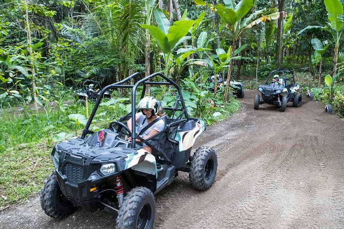 Half Day Jungle Buggies in Bali with Guide - Safety equipment, insurance, and the practical riding details