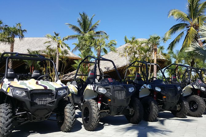 Half Day Jungle Buggies in Bali with Guide - Transport from Kuta and the early start