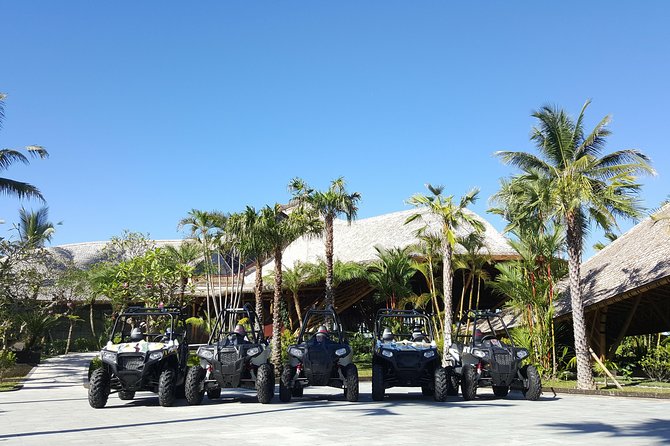 Half Day Jungle Buggies in Bali with Guide - Who will enjoy this buggy tour most