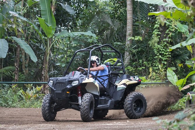 Half Day Jungle Buggies in Bali with Guide - What the group format means for your day