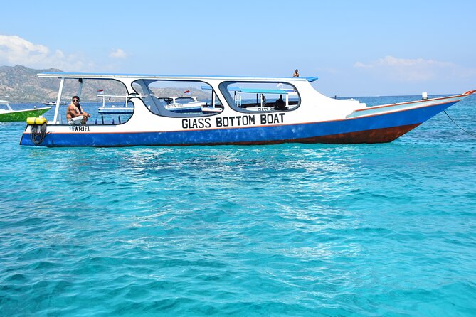Half-Day Private Guided Snorkeling Turtles Underwater Statues - Gili Air and the best chance for turtles