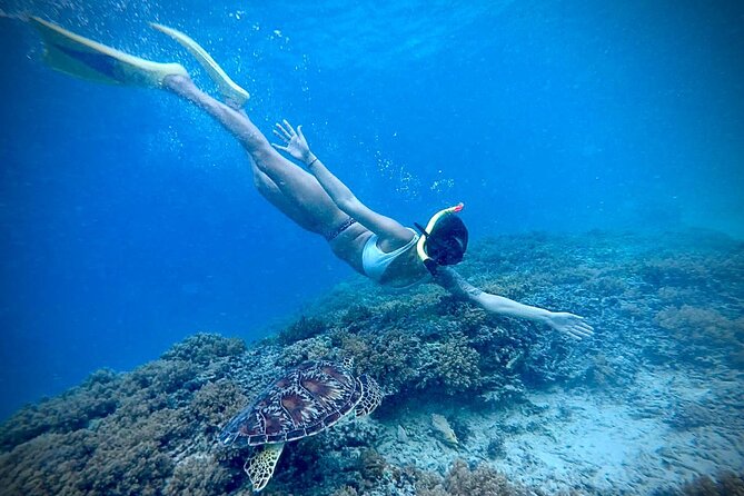 Half-Day Private Guided Snorkeling Turtles Underwater Statues - Equipment, swimming ability, and safety