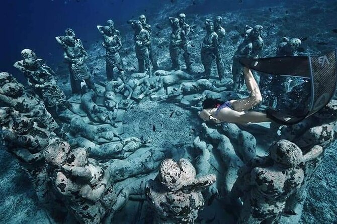 Half-Day Private Guided Snorkeling Turtles Underwater Statues - Is $85 a good value for four people?