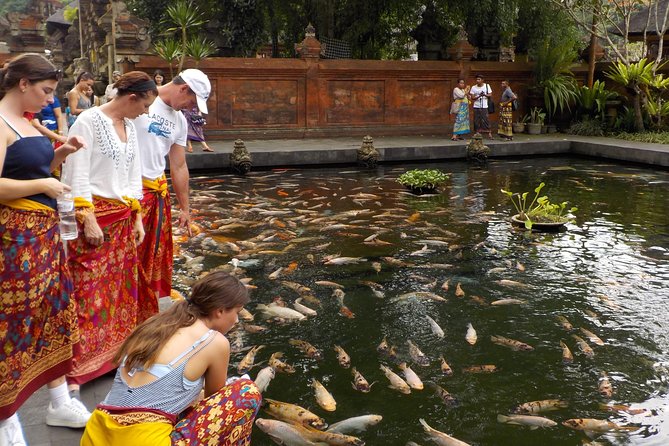 Half-Day Ubud Electric Cycling Tour to Tirta Empul Water Temple - Why this e-bike ride works better than a standard bicycle tour